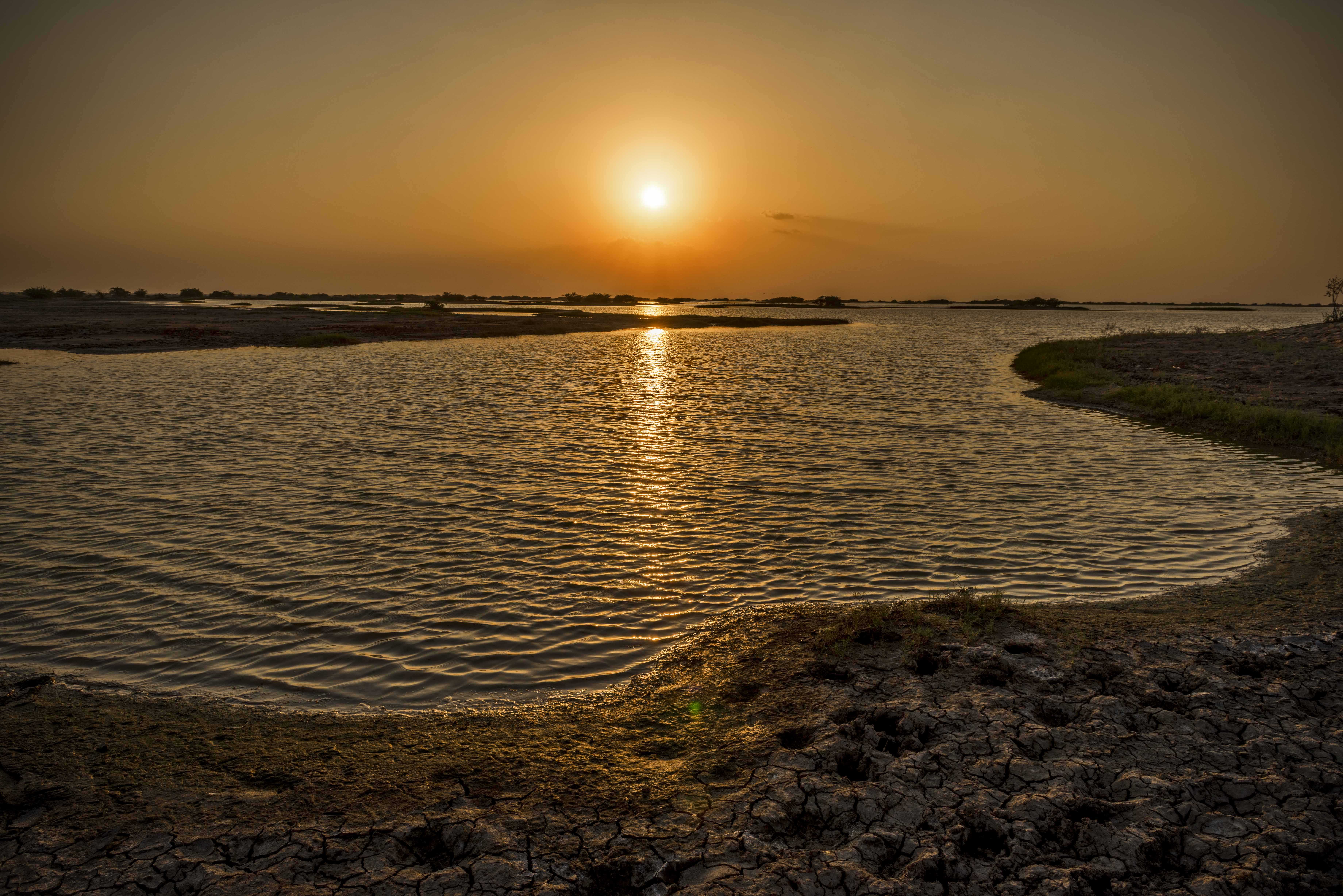 Little Rann Of Kutch